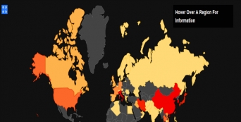 On line, on time. Evolução e reports.